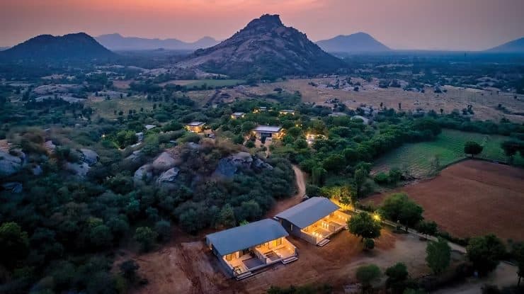 Luxury in the Wild: Comfort and Exclusivity on Your Indian Safari