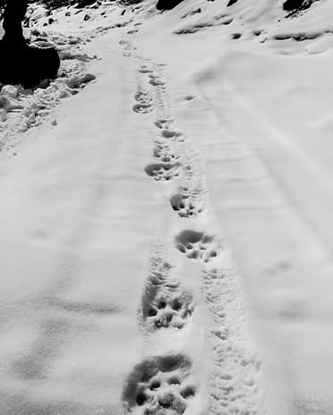 High Himalayan peaks and cold desert country of Ladakh